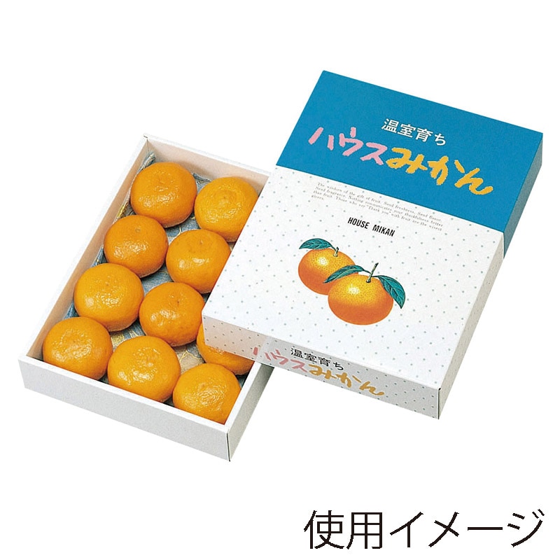 ヤマニパッケージ ギフト箱　ハウスみかん  L-330 20枚/束（ご注文単位5束）【直送品】