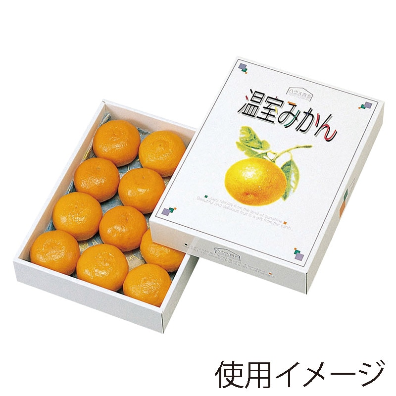 ヤマニパッケージ ギフト箱　温室みかん 1kg L-331 20枚/束（ご注文単位4束）【直送品】