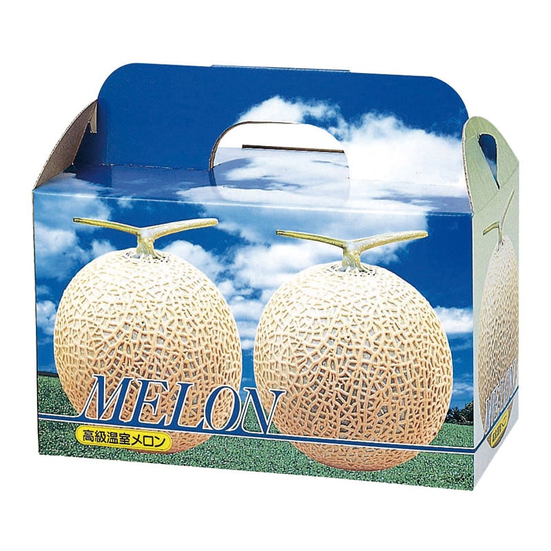 ヤマニパッケージ 手提サービス箱　ピュアメロン 2ヶ入　台紙付 L-340T 10枚/束（ご注文単位5束）【直送品】