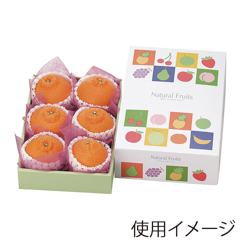 ヤマニパッケージ ギフト箱　ナチュラルフルーツ ミニ L-493 10枚/束（ご注文単位5束）【直送品】