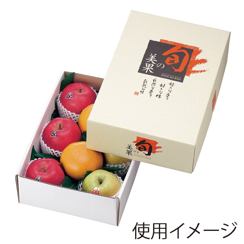 ヤマニパッケージ ギフト箱　旬の美果 中B L-499 10枚/束（ご注文単位4束）【直送品】