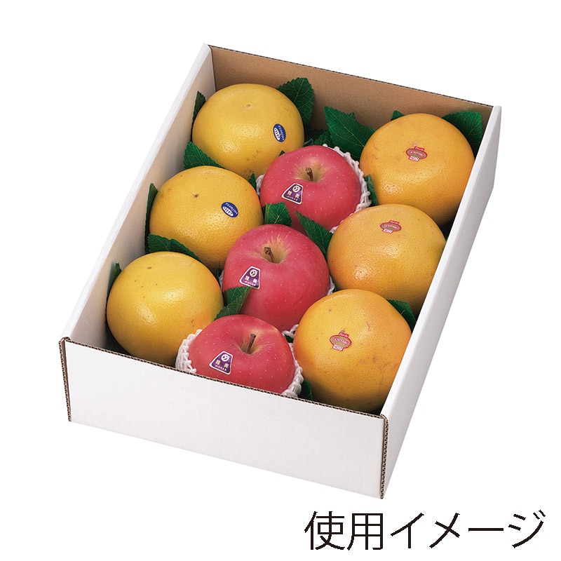 ヤマニパッケージ ギフト箱 旬の美果 特大 L-500 10枚/束(ご注文単位4束)【直送品】
