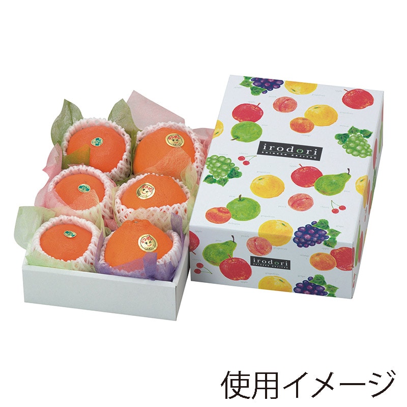 ヤマニパッケージ ギフト箱 いろどりパレット ミニ L-2070 10枚/束(ご注文単位5束)【直送品】