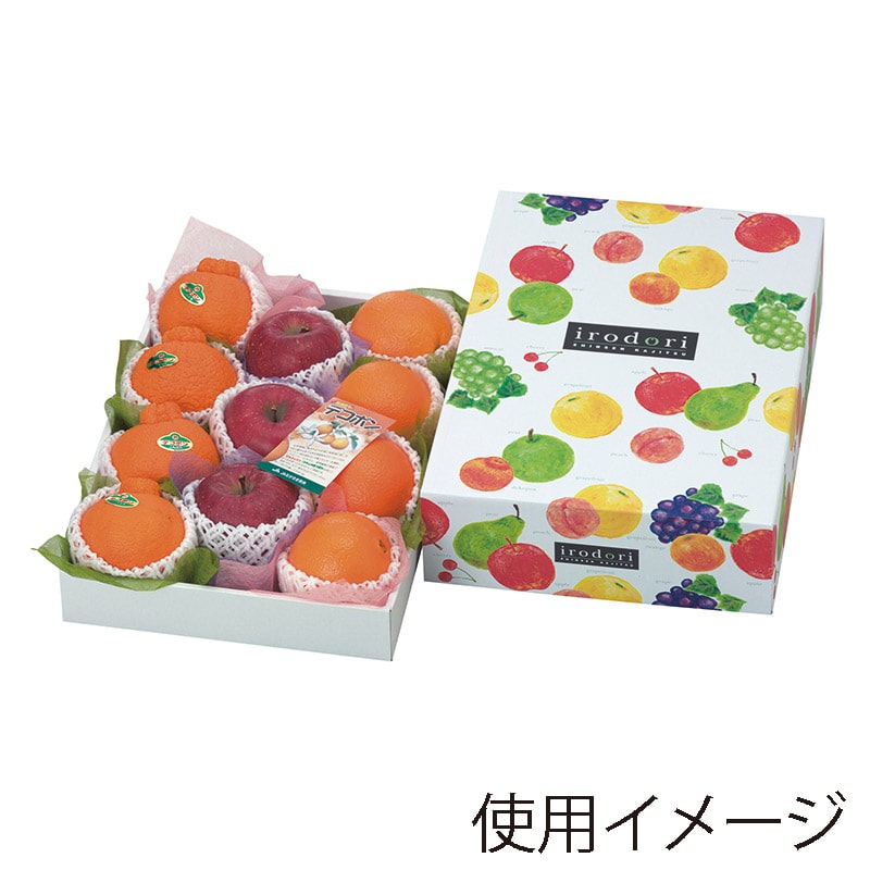 ヤマニパッケージ ギフト箱 いろどりパレット 大 L-2073 10枚/束(ご注文単位5束)【直送品】