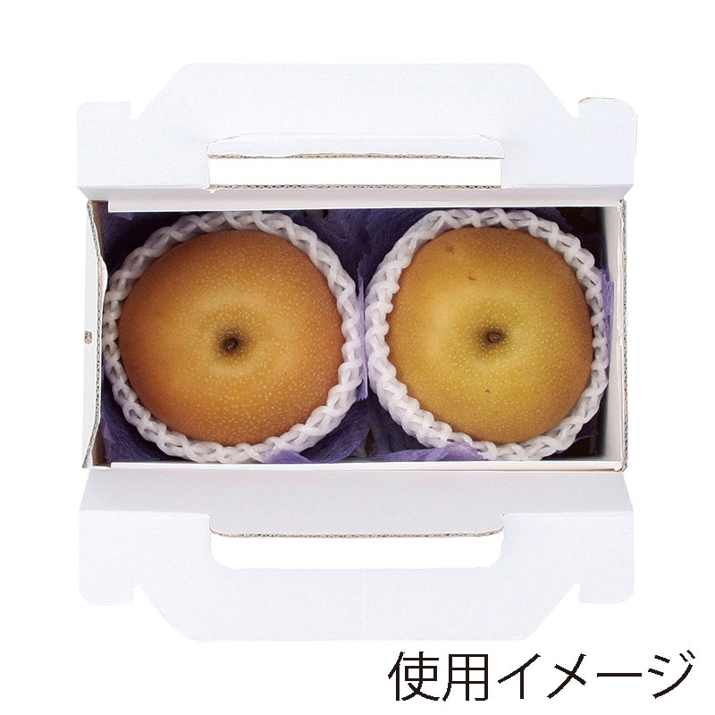 ヤマニパッケージ 手提箱 旬味 2ヶ入 L-2309 20枚/束(ご注文単位5束)【直送品】
