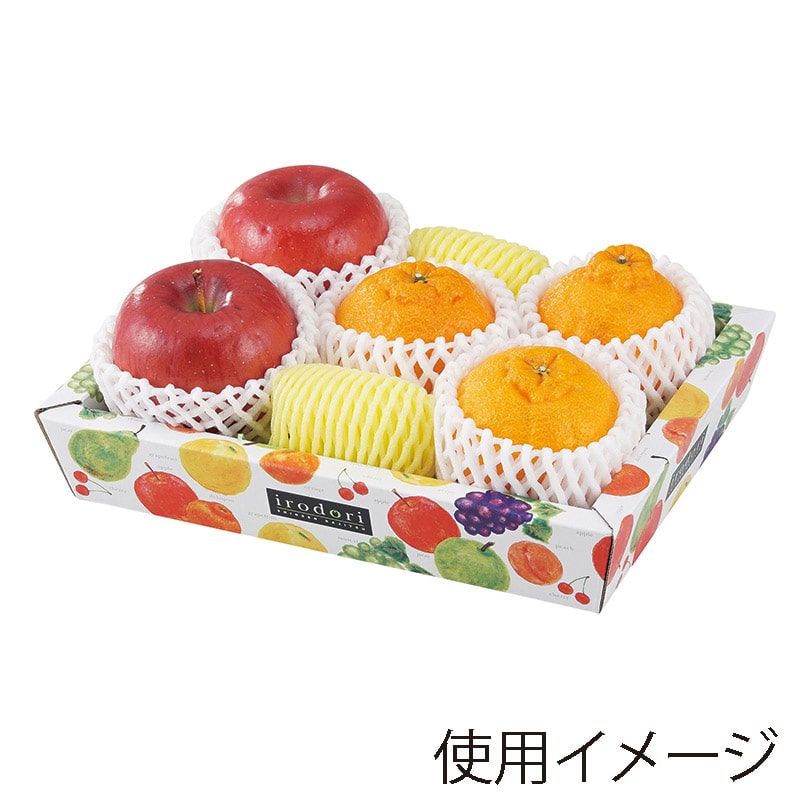 ヤマニパッケージ 盛箱V いろどり ミニ L-2345 10枚/束(ご注文単位10束)【直送品】