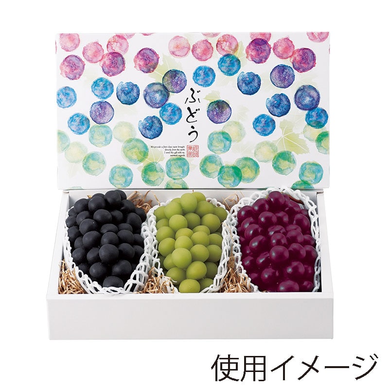 ヤマニパッケージ ギフト箱 彩りぶどう 3房 L-2369 10枚/束(ご注文単位4束)【直送品】