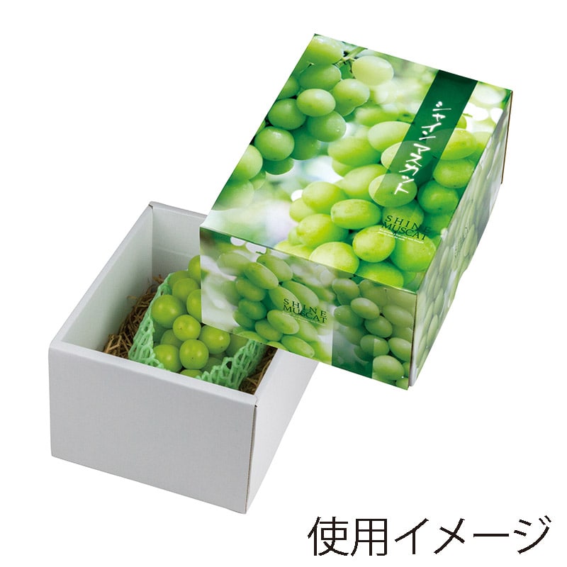 ヤマニパッケージ ギフト箱　シャインマスカット 小 L-2417 10枚/束（ご注文単位4束）【直送品】