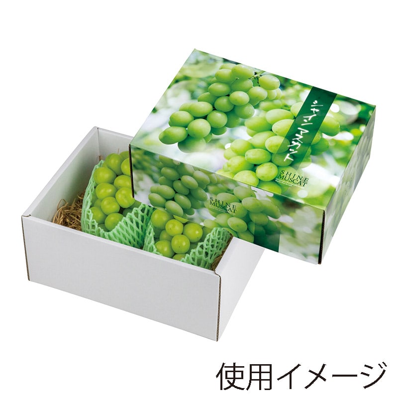 ヤマニパッケージ ギフト箱　シャインマスカット 大 L-2418 10枚/束（ご注文単位3束）【直送品】