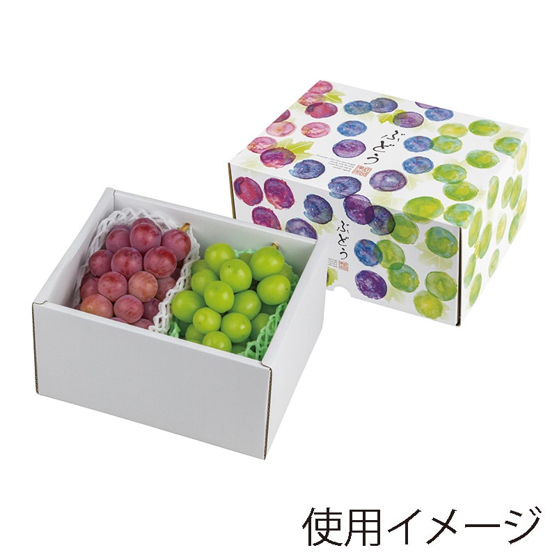 ヤマニパッケージ ギフト箱 彩りぶどう 身深 小 L-2485 10枚/束(ご注文単位5束)【直送品】