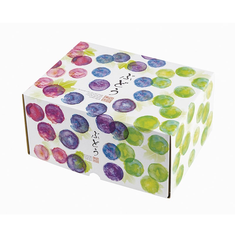 ヤマニパッケージ ギフト箱 彩りぶどう 身深 小 L-2485 10枚/束(ご注文単位5束)【直送品】