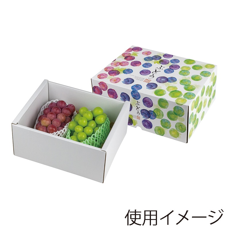 ヤマニパッケージ ギフト箱 彩りぶどう 身深 中 L-2486 10枚/束(ご注文単位4束)【直送品】