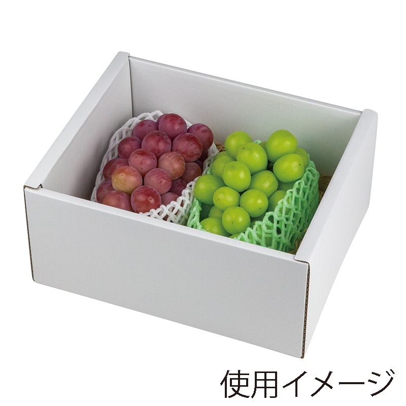 ヤマニパッケージ ギフト箱 彩りぶどう 身深 中 L-2486 10枚/束(ご注文単位4束)【直送品】