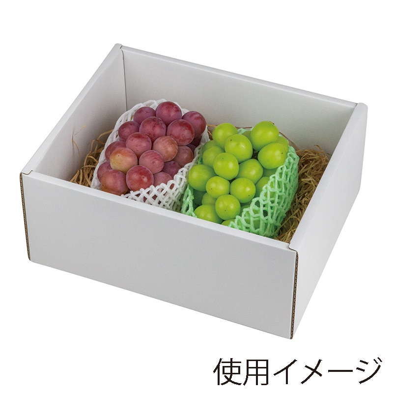 ヤマニパッケージ ギフト箱 彩りぶどう 身深 大 L-2487 10枚/束(ご注文単位3束)【直送品】
