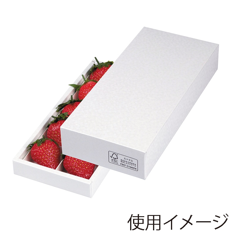 ヤマニパッケージ ギフト箱 パールアソート 10FS L-2401FS 10枚/束(ご注文単位10束)【直送品】