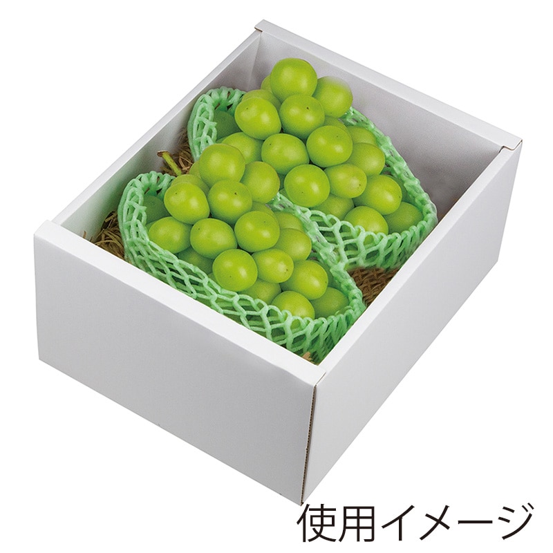 ヤマニパッケージ ぶどう箱　もぎたてのぶどう グリーン L-2501　10枚/束（ご注文単位4束）【直送品】
