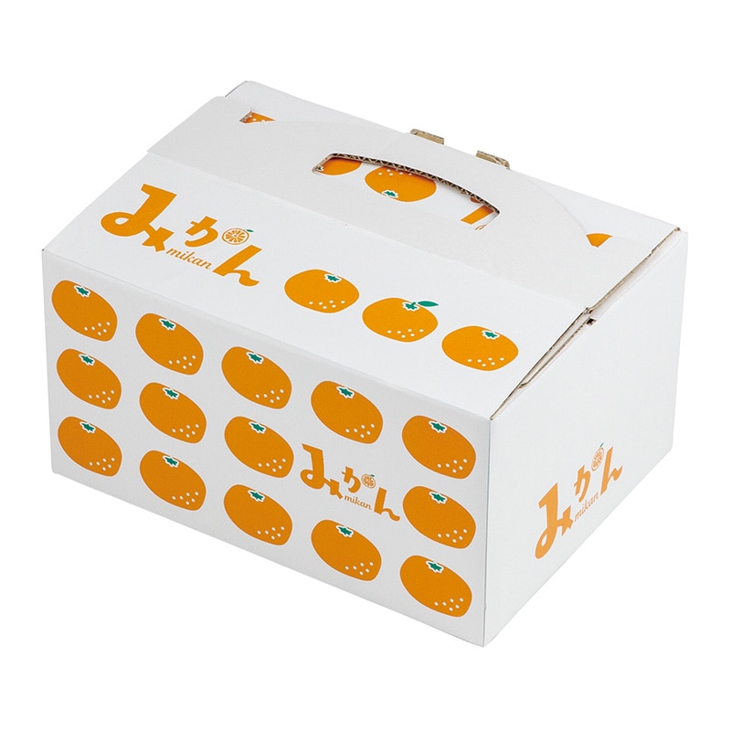 ヤマニパッケージ 手提箱 イラストみかん L-2505 10枚/束(ご注文単位10束)【直送品】