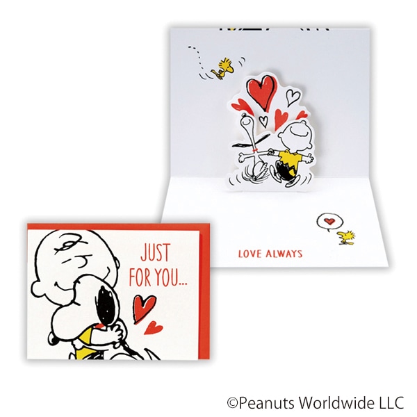 日本ホールマーク 多目的 立体カード スヌーピー ハグチャーリー2 816414 1枚(ご注文単位6枚)【直送品】