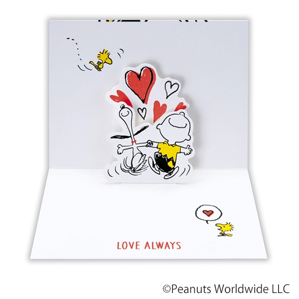 日本ホールマーク 多目的 立体カード スヌーピー ハグチャーリー2 816414 1枚(ご注文単位6枚)【直送品】