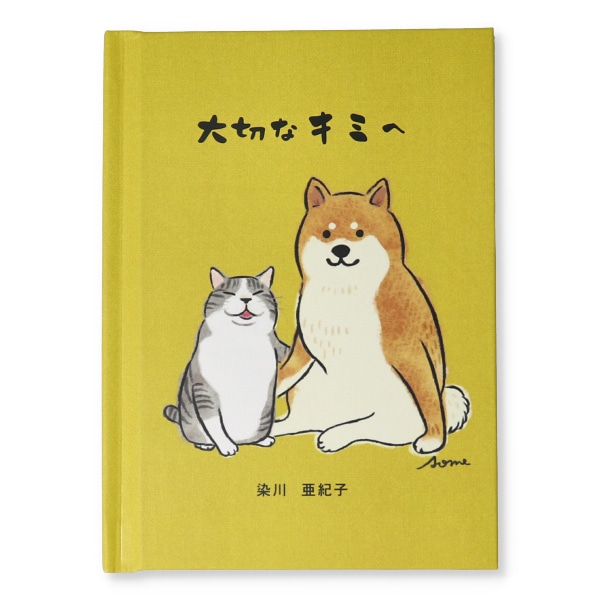 日本ホールマーク 励まし 絵本カード 大切なキミへ2 816841 1冊(ご注文単位3冊)【直送品】