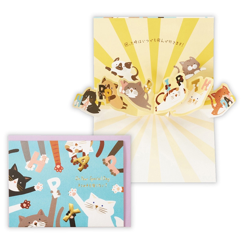 日本ホールマーク 誕生お祝い 立体カード ゆるアニマルねこ2 817596 1枚(ご注文単位6枚)【直送品】