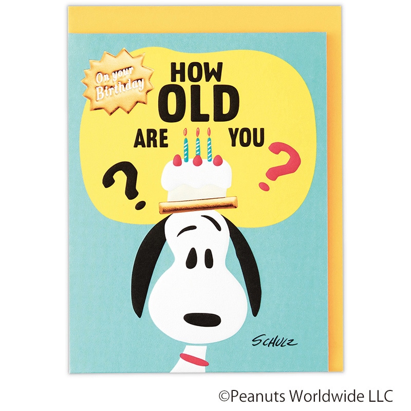 日本ホールマーク 誕生お祝い　立体カード スヌーピー　びっくりバースデー 830175 1枚（ご注文単位6枚）【直送品】