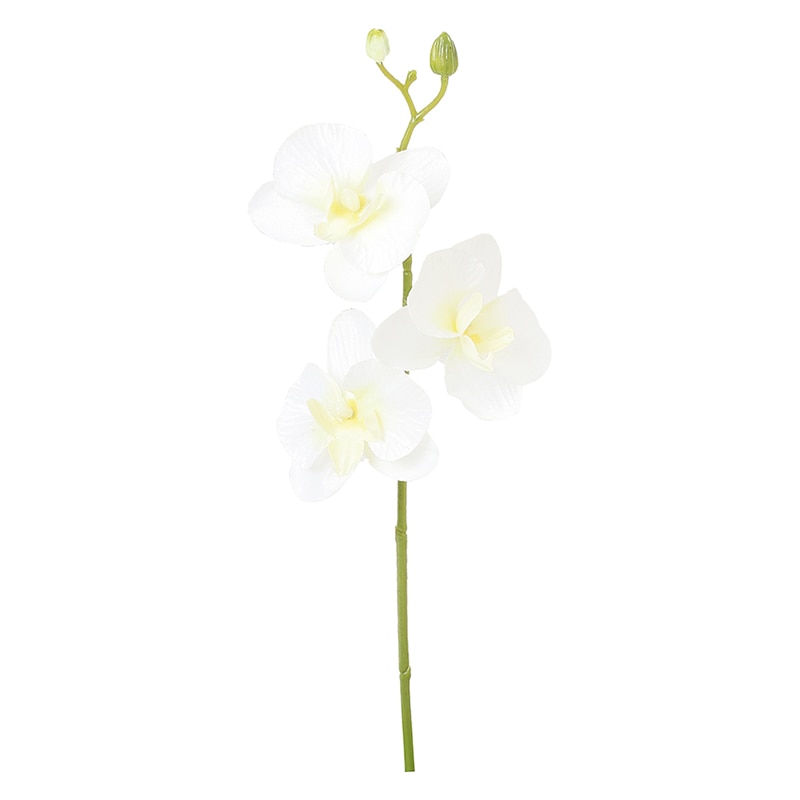 ポピー 造花 コチョウラン ホワイト FFH-0065-W 1本(ご注文単位24本)【直送品】