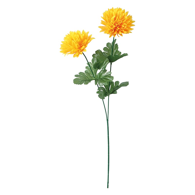 イエローオレンジ