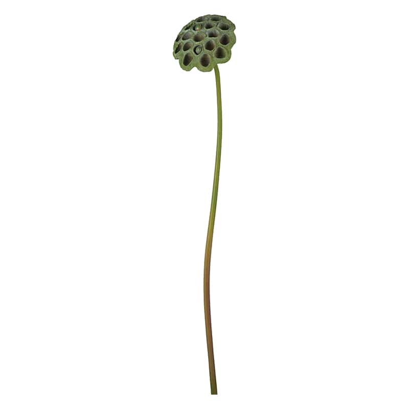 ポピー 造花　ロータスヘッド グリーン FA-7347-GR 1本（ご注文単位12本）【直送品】
