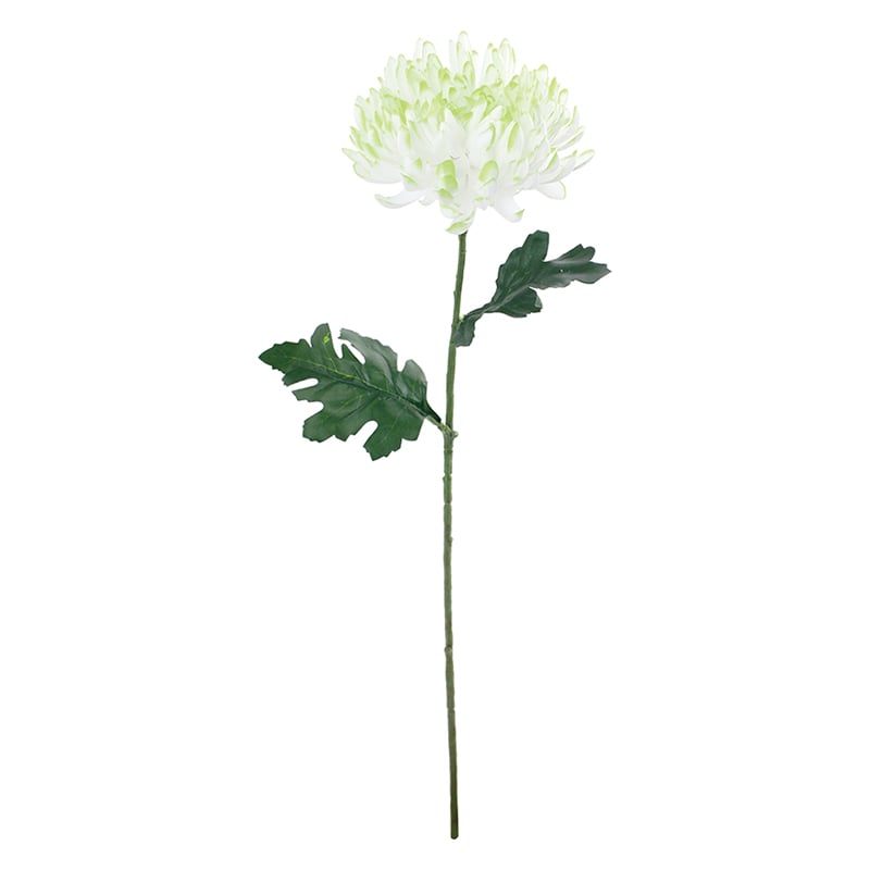 ホワイトグリーン