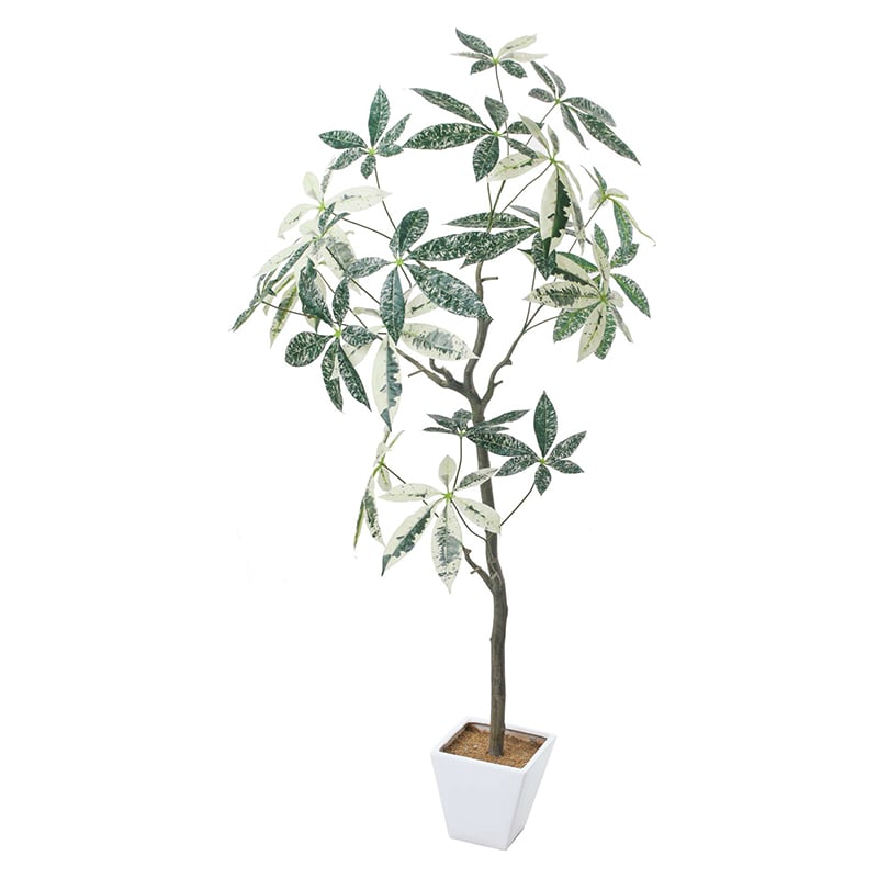 ポピー 造花 パキラミルキーウェイツリー GLA-1547 W/G 1個(ご注文単位1個)【直送品】