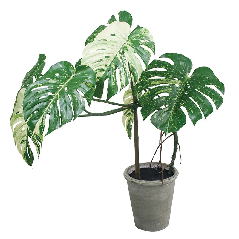 ポピー 造花 モンステラポット GLA-1548 GR 1本(ご注文単位1本)【直送品】