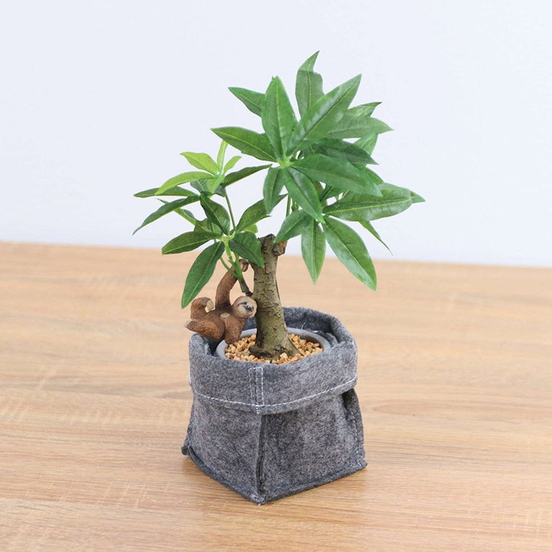 ポピー 造花 コーヒーノキフェルトポット GLA-1521F　A 1セット（ご注文単位1セット）【直送品】