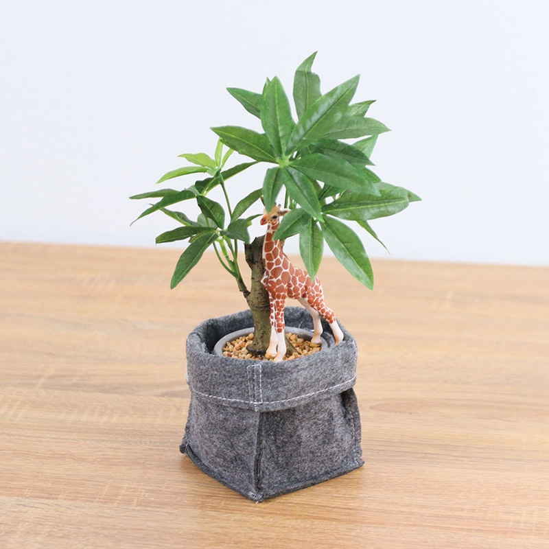 ポピー 造花 コーヒーノキフェルトポット GLA-1521F　C 1セット（ご注文単位1セット）【直送品】