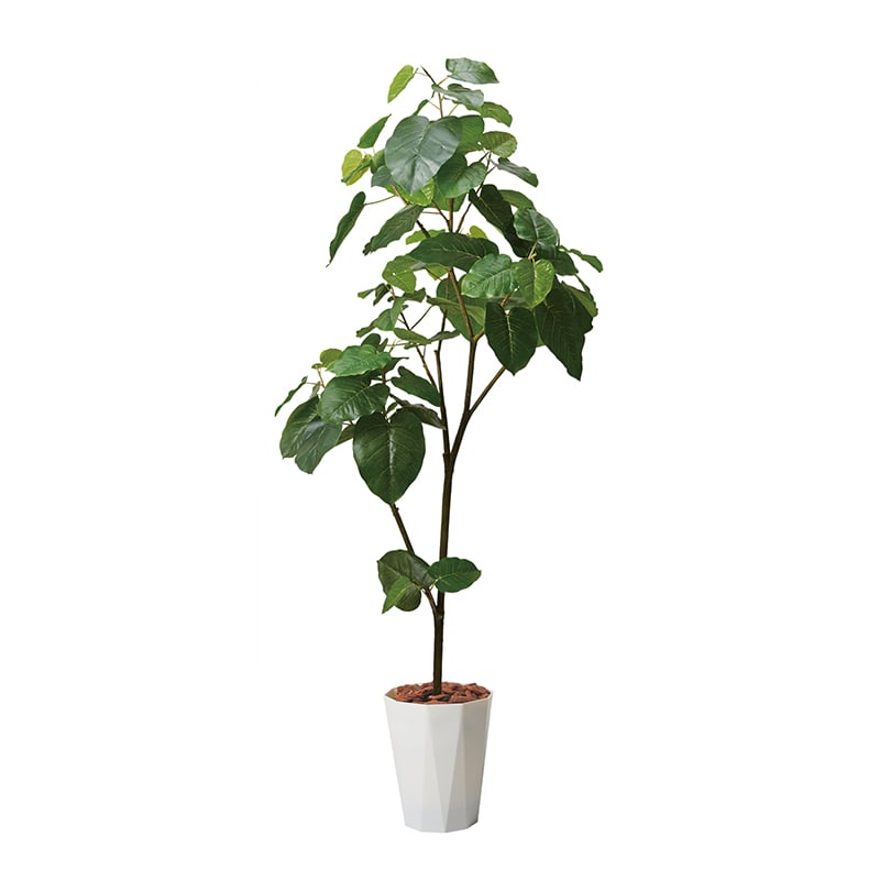 >ポピー 造花 ウンベラータポット 180cm GLPS-1512 PWL 1個(ご注文単位1個)【直送品】