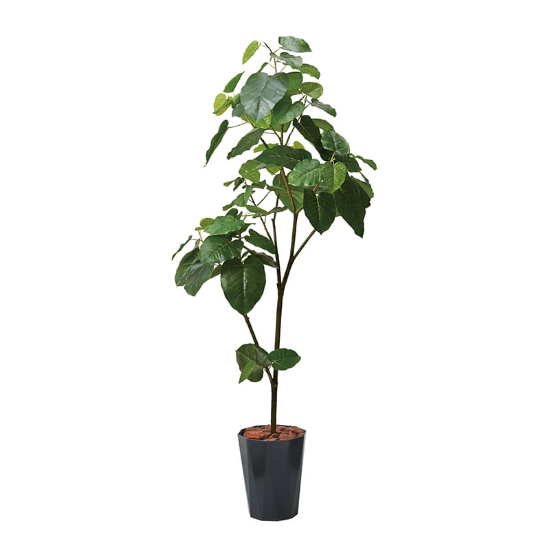 ポピー 造花　ウンベラータポット 180cm GLPS-1512　BKL 1個（ご注文単位1個）【直送品】