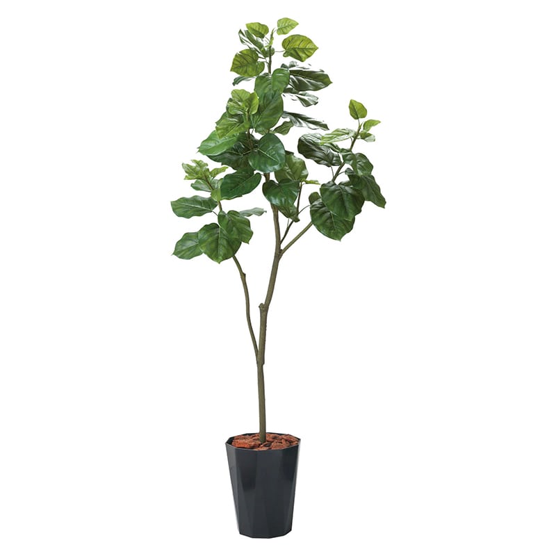 >ポピー 造花 ウンベラータポット 180cm GLPS-1498 BKL 1個(ご注文単位1個)【直送品】