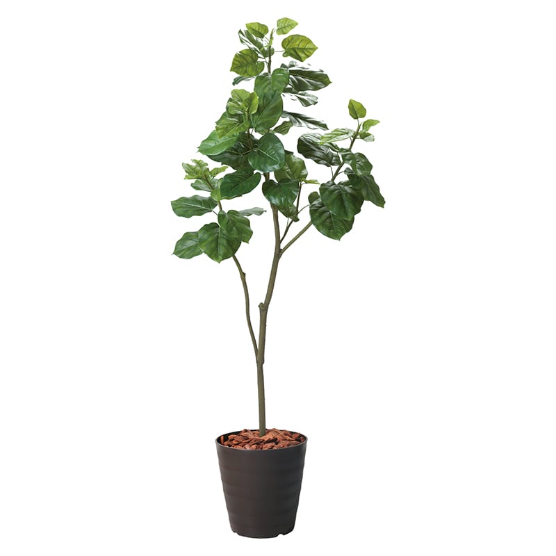 >ポピー 造花　ウンベラータポット 180cm GLPS-1498　BRL 1個（ご注文単位1個）【直送品】