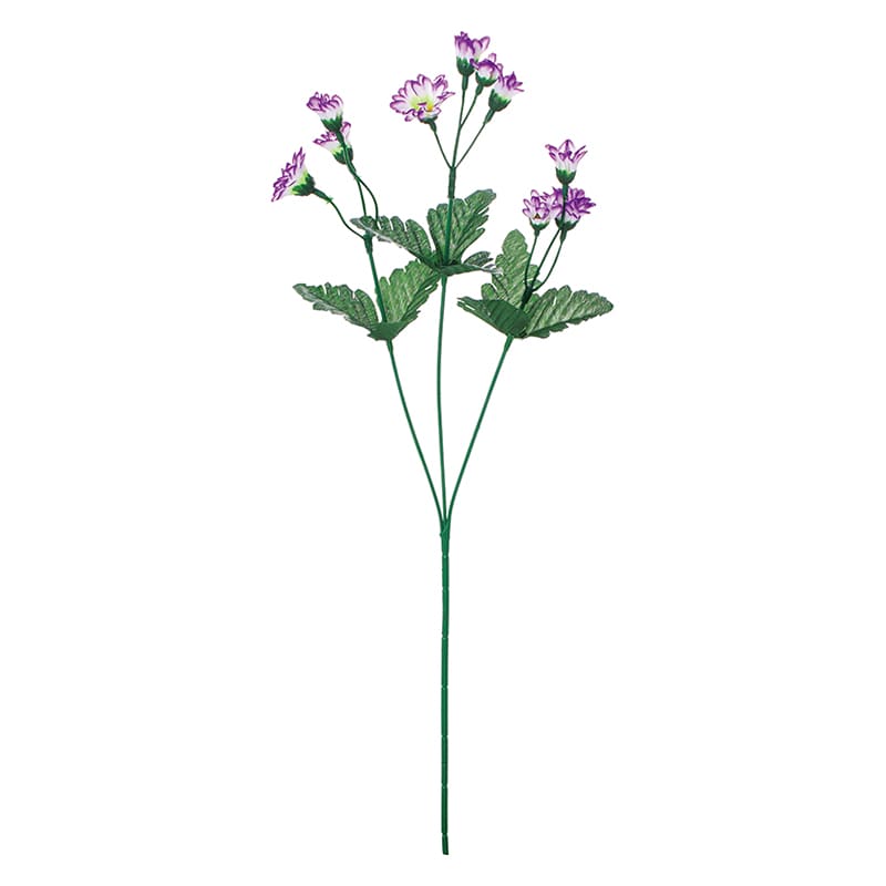 パープルホワイト