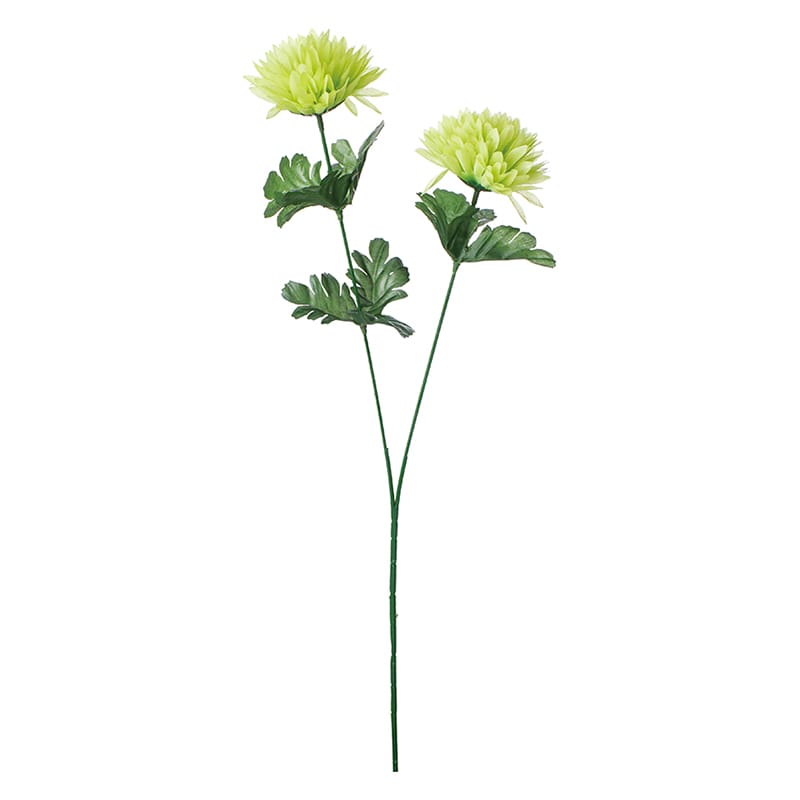 ライトグリーン