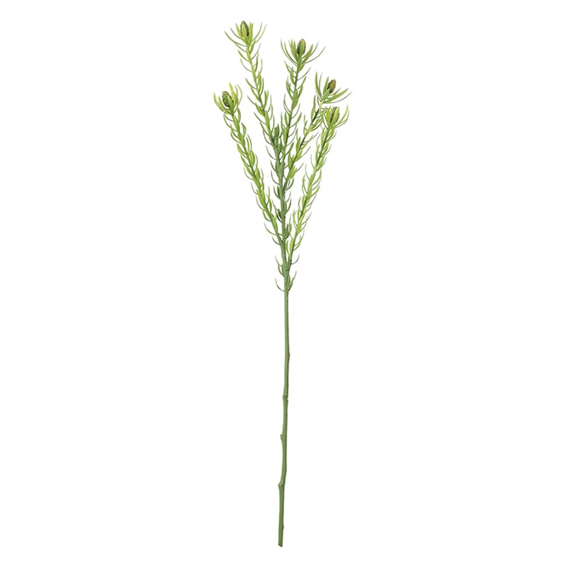 ポピー 造花　スリムリュウカデンドロビウム グリーン FA-7410-GR 1本（ご注文単位12本）【直送品】