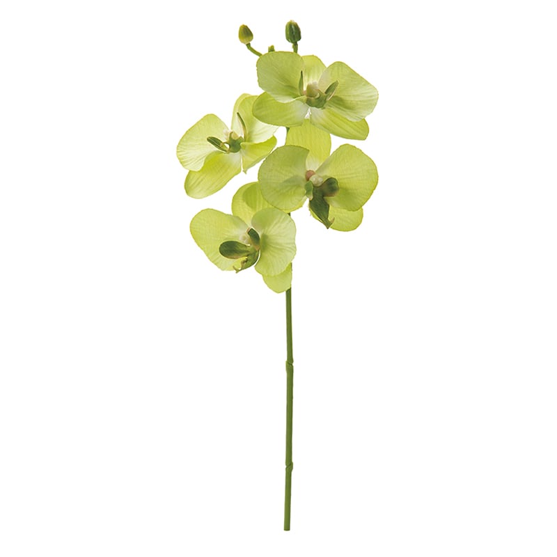 ポピー 造花　コチョウラン グリーン FFH-0024-GR 1本（ご注文単位24本）【直送品】