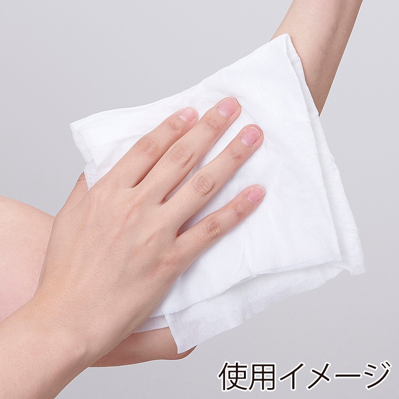 大一紙工 DNボディウェットタオル スティックタイプ 1枚入×30袋 S00005 1枚/パック(ご注文単位12パック)【直送品】