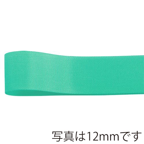 青山 リボン ロイヤルタフタ 6700 72×100 #10 1巻(ご注文単位4巻)【直送品】