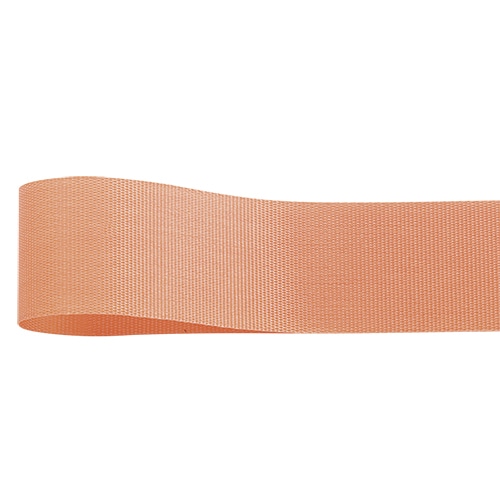 >青山 リボン　ロイヤルタフタ　6702 12×100 #24 1巻（ご注文単位1巻）【直送品】