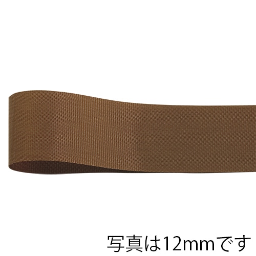 青山 リボン　ロイヤルタフタ　6704 24×100 #21 1巻（ご注文単位1巻）【直送品】