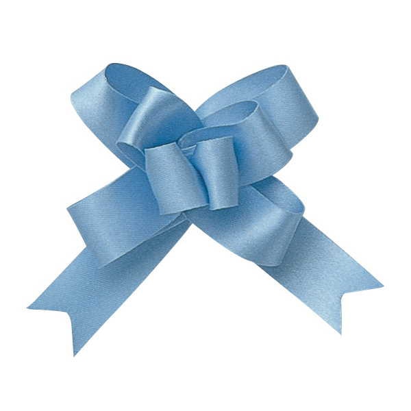 青山 プリンセスチャームボウ　2905 19　出来上がり幅：約7c #09 1箱（ご注文単位1箱）【直送品】