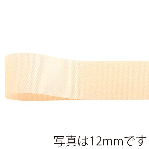 青山 リボン　ロイヤルタフタ　6699 48×100 #61 1巻（ご注文単位6巻）【直送品】