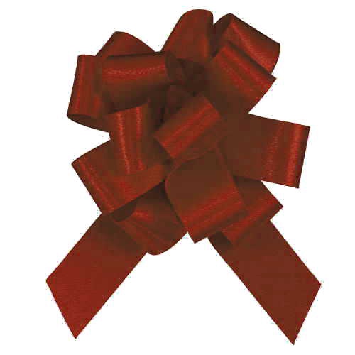 青山 ニューポンポンボウ 7604 13 出来上がり幅:約5c #18 1巻(ご注文単位1巻)【直送品】