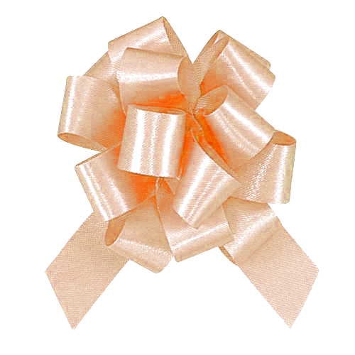 >青山 ニューポンポンボウ 7605 19 出来上がり幅:約7c #02 1巻(ご注文単位1巻)【直送品】